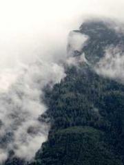 lt;lt;lt;lt;Yearning