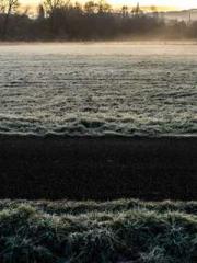 Wine, sex, money and