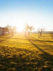 After the Divorce, I