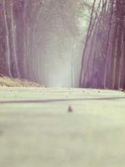 Bodhisattva of Compa