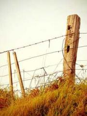 Cold-hearted Inkapos