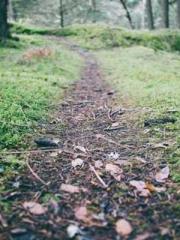 My Amazing Female Te