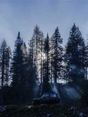 Rebirth of the Urban