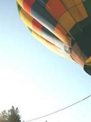 One Night Marriage P