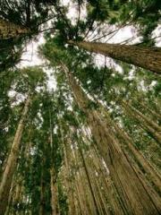 lt;lt;Waste Material