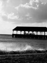 Cultivating My Empre