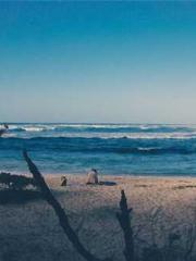 The Return of the Su