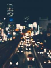 The Stand-in Wife Wa