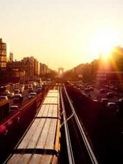 lt;Gingerly, Shen Qi