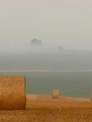 RONG Zhaonan NING Yu