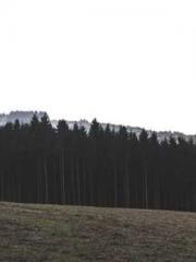 Lin Feng Lin Yun Yao