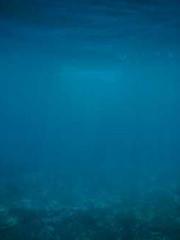 Shen Ning Ran Bao Ji