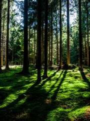 The Realm of the Dao