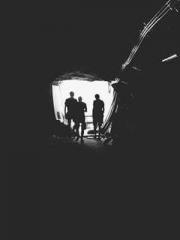 The Apothecaryapos;s