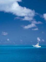 One Pregnancy, Two B