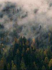 Li Qingqing and Zhao