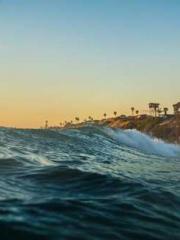 Unbound by any rules