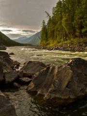 lt;Honor calls for N