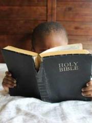 My Amazing Female Te