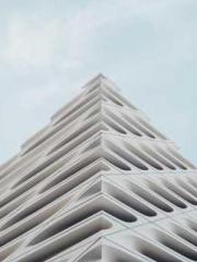 Transmigration: Feel