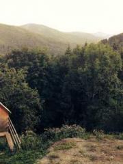 Rebirth of the Super